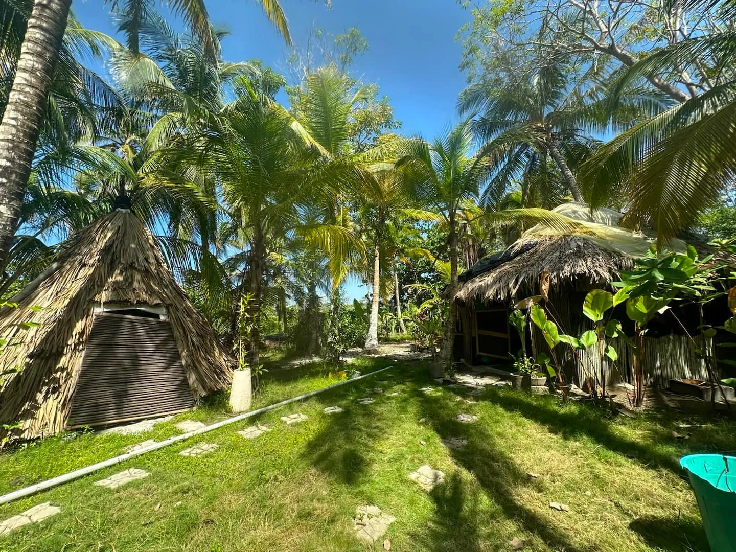 Una cabaña de palma en el jardín bajo los cocoteros